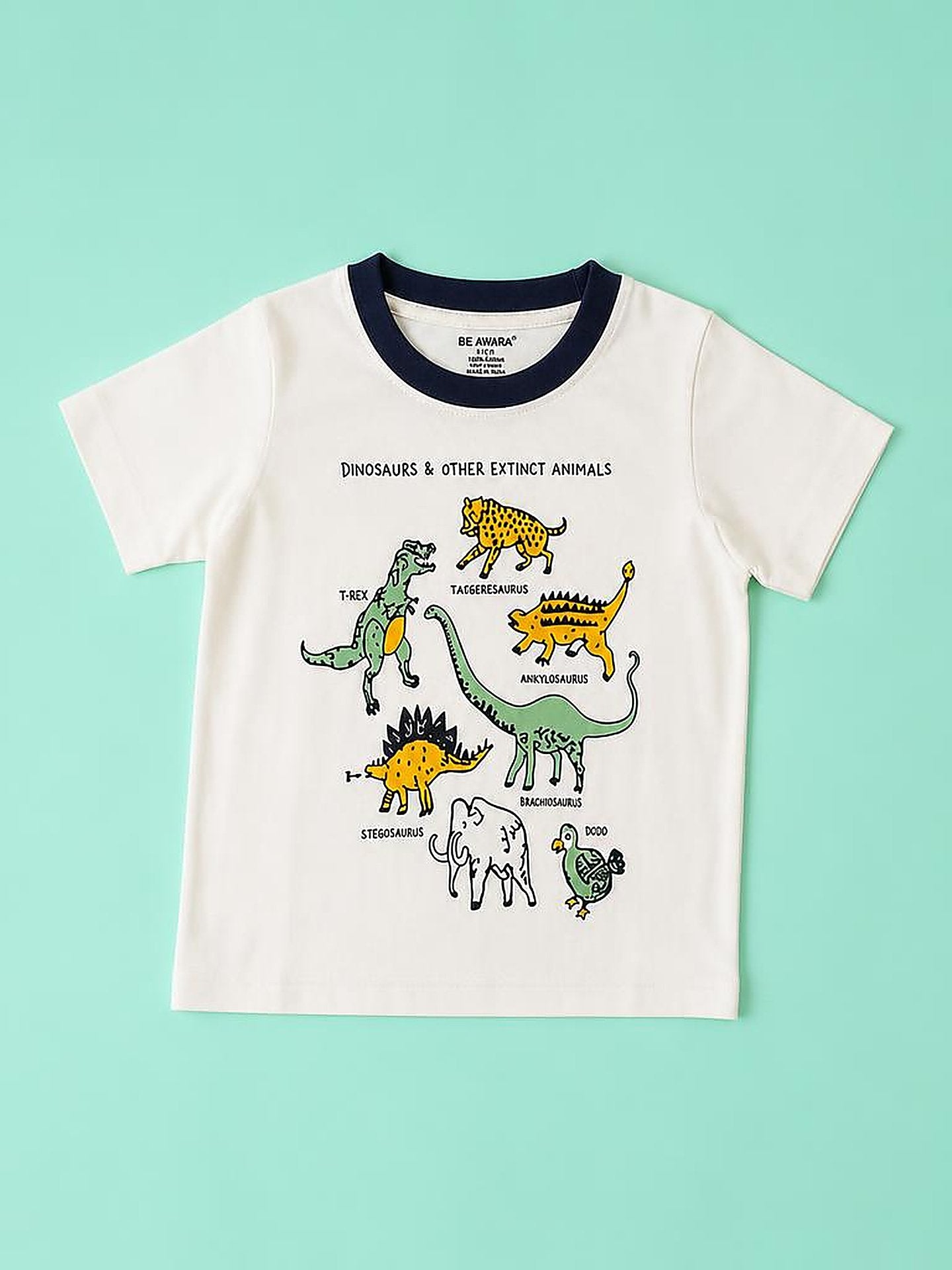 Dinosaur T-Shirt & Shorts Set