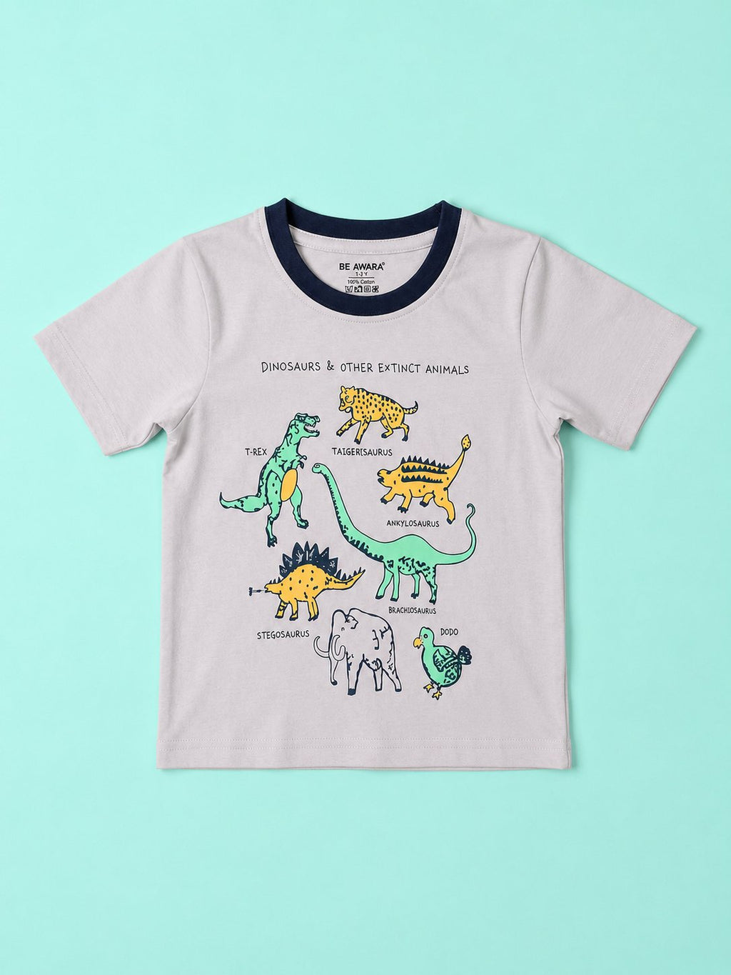 Dinosaur T-Shirt & Shorts Set