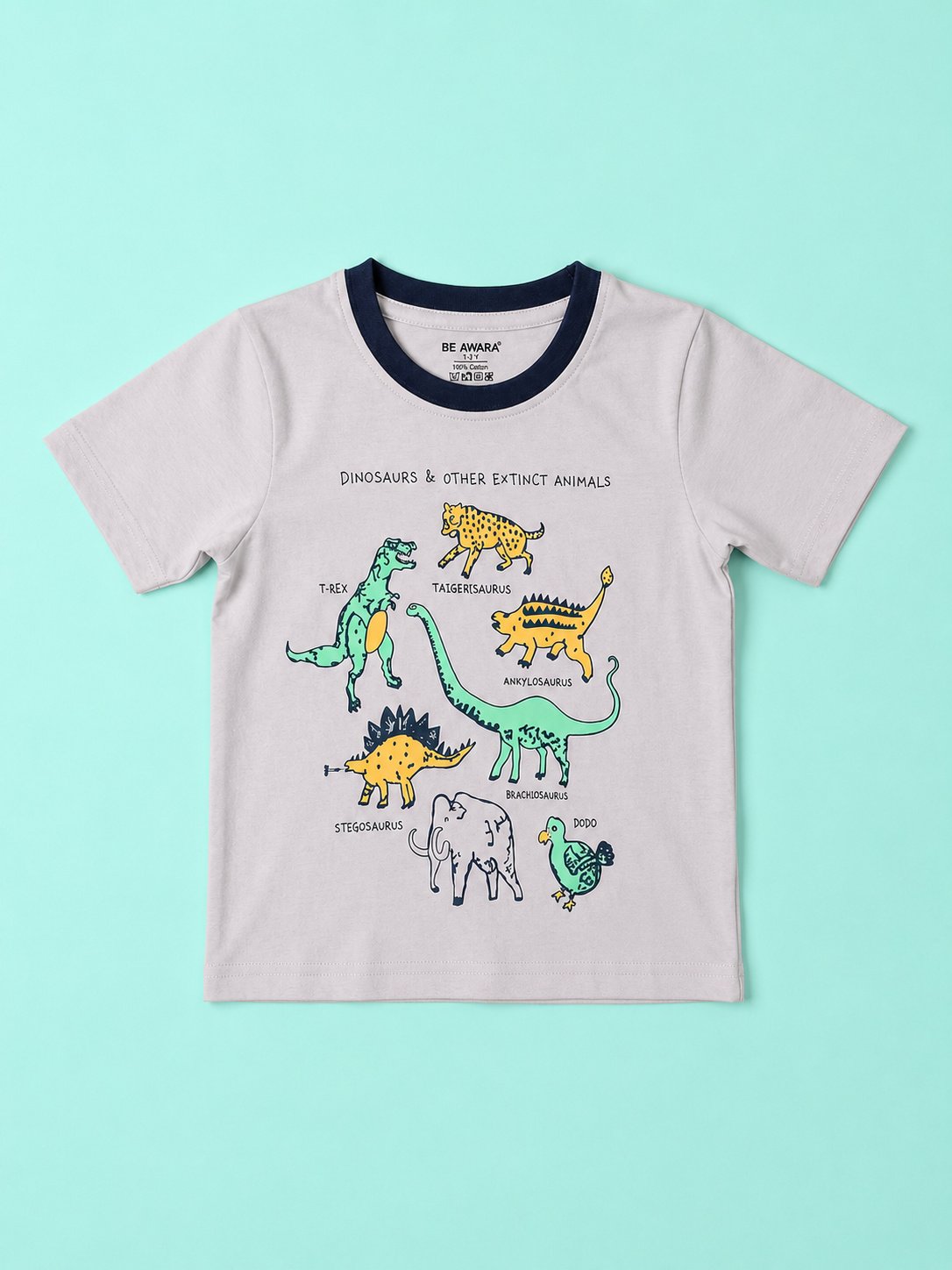 Dinosaur T-Shirt & Shorts Set