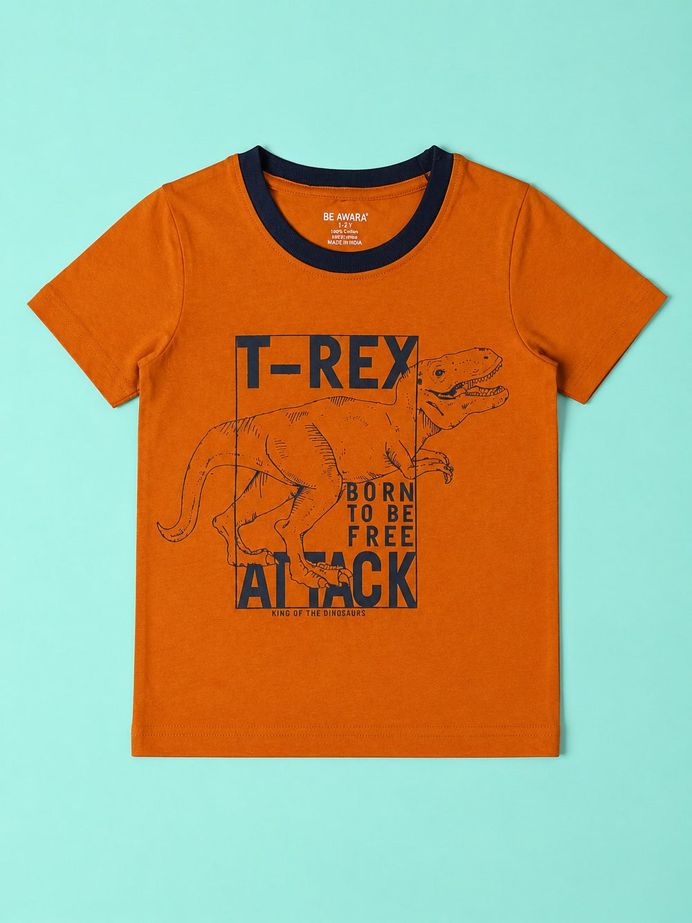 T Rex T-Shirt & Shorts Set