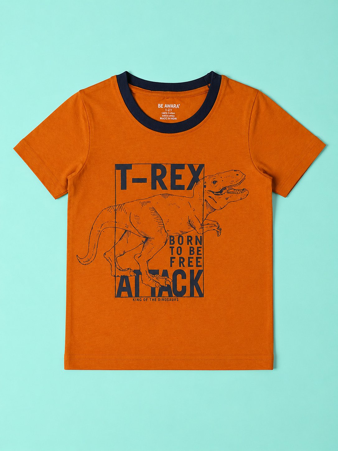 T Rex T-Shirt & Shorts Set