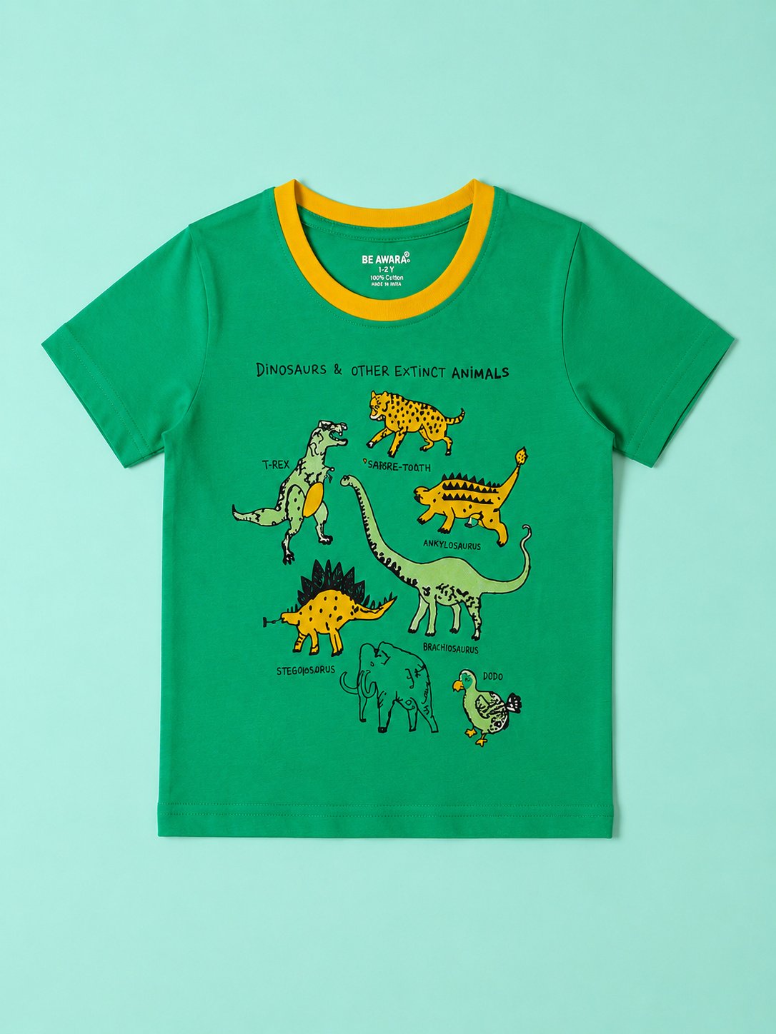 Dinosaur T-Shirt & Shorts Set