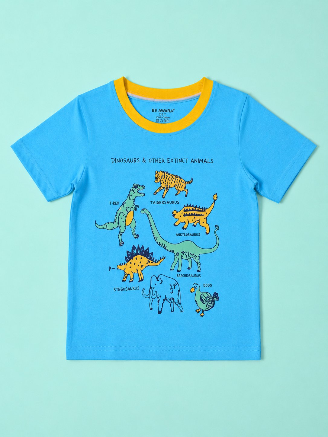 Dinosaur T-Shirt & Shorts Set
