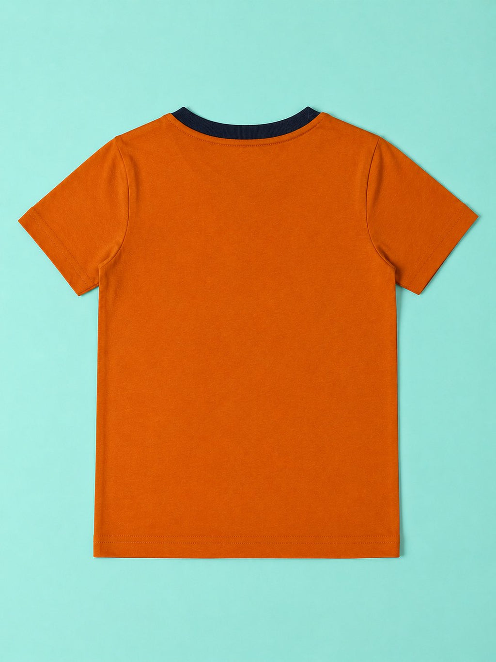 T Rex T-Shirt & Shorts Set