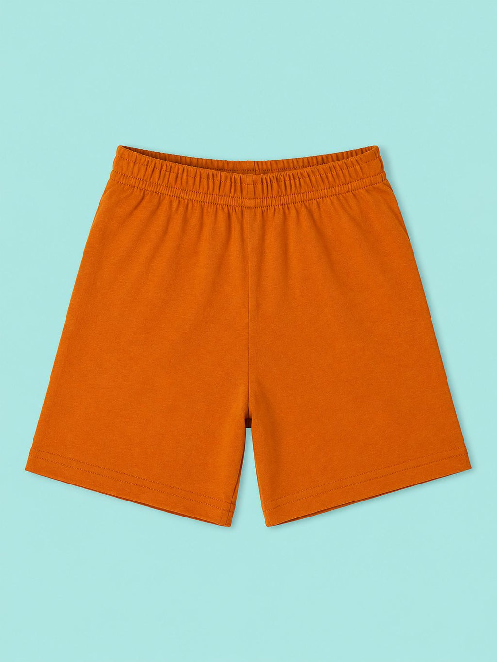 T Rex T-Shirt & Shorts Set