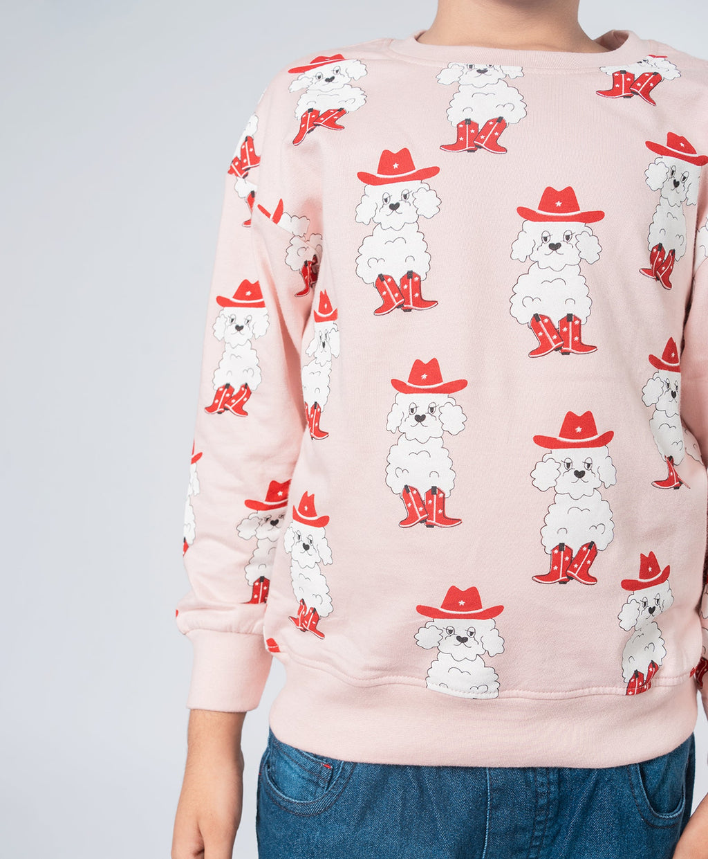 Kids Bichon Dog Print Full Sleeves Oversized Sweatshirt